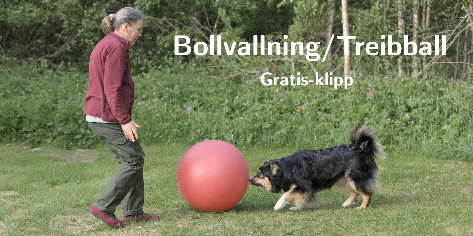 Gratis_Bollvallning