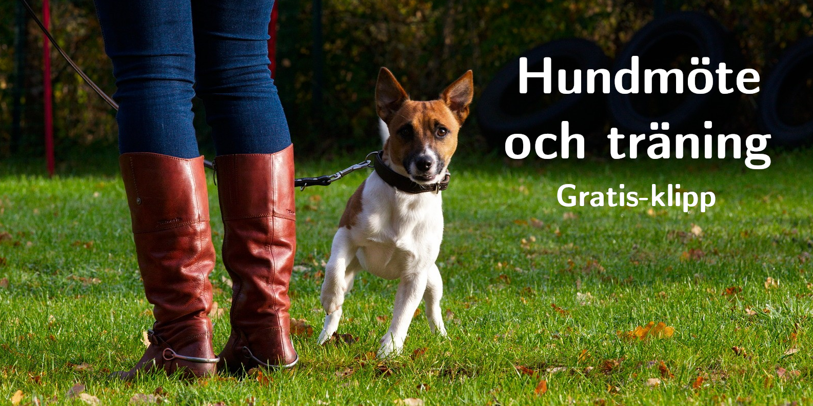 Gratis_Hundmöte och träning